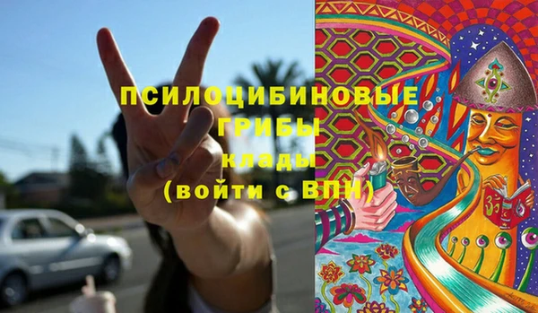 MESCALINE Каменка