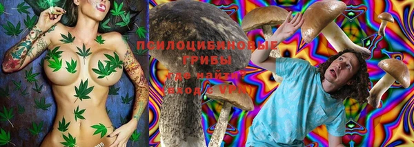 MESCALINE Каменка