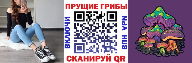 Псилоцибиновые грибы Magic Shrooms  Купить где  Кунгур 