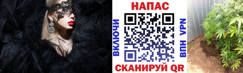 Купить закладки  Кунгур  Конопля конопля 